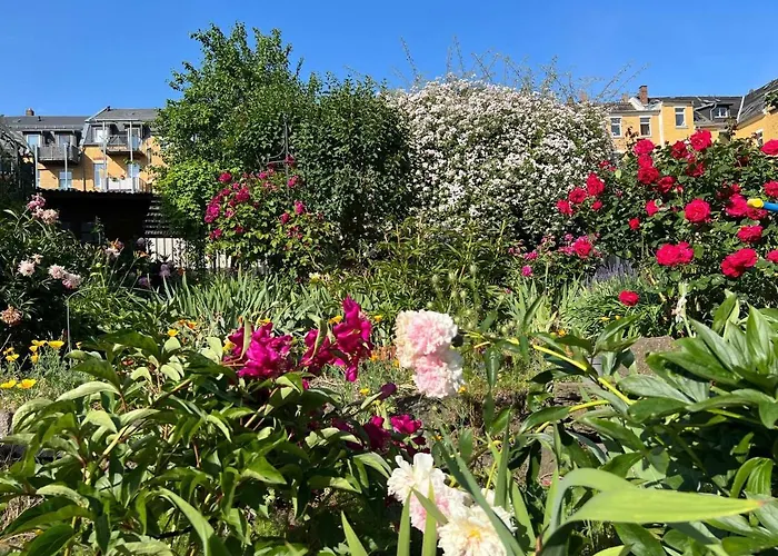 홈스테이 Schlafmuetze